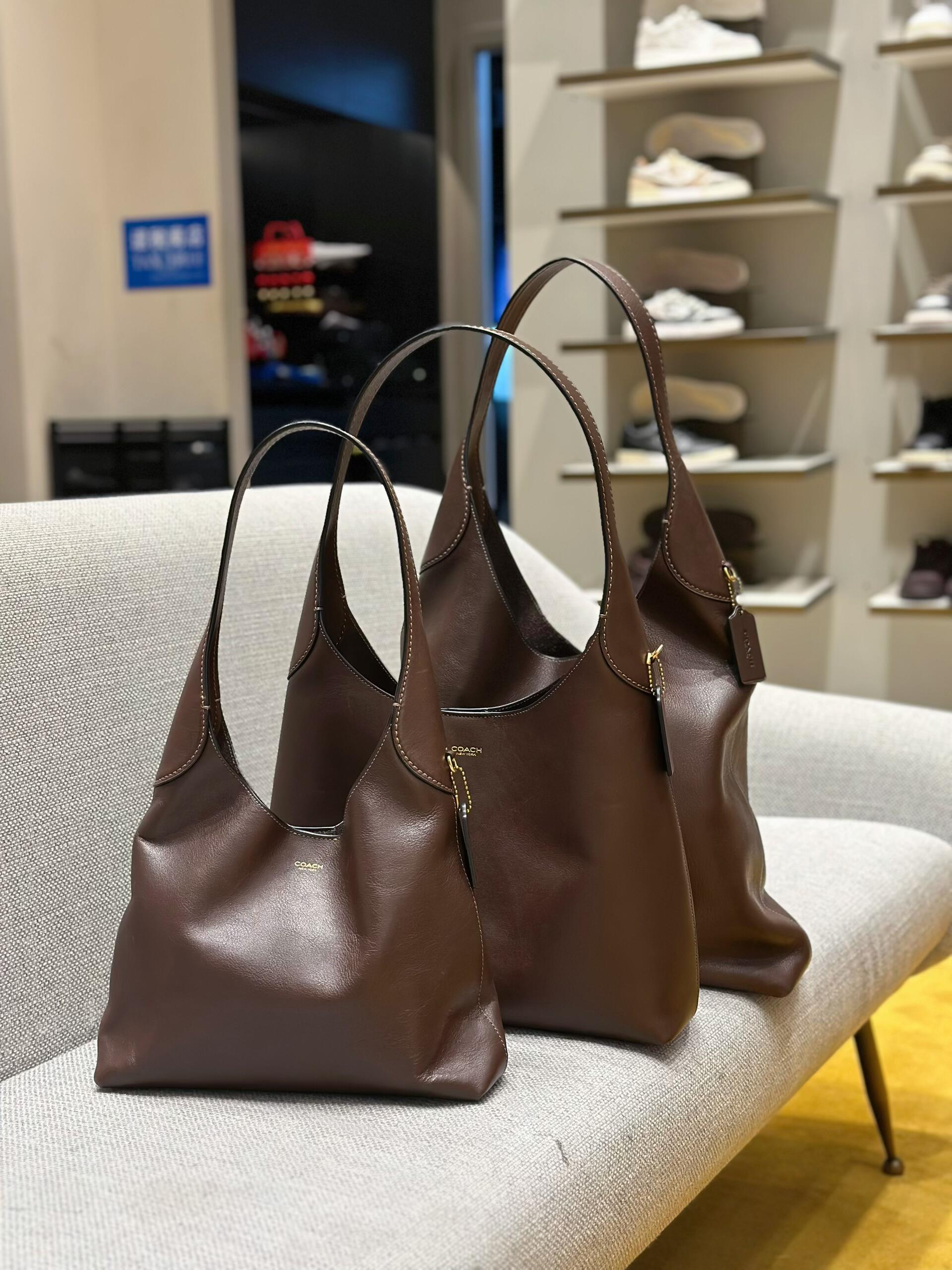 Coach Leather Hobo Bag - Dark Brown