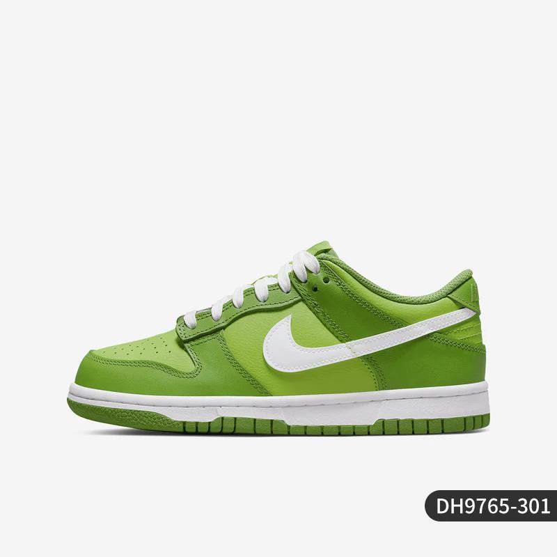 Nike Low-Top Sneaker DH9765-301