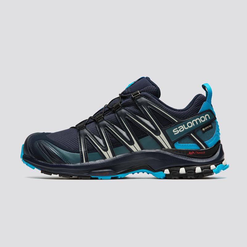Salomon Gore-Tex 3D Chassis Trail Shoe