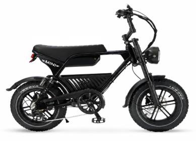 MINI Fat-Tire Electric Bike
